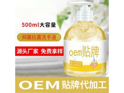 抑菌洗手液oem代加工厂 大健康产业图2