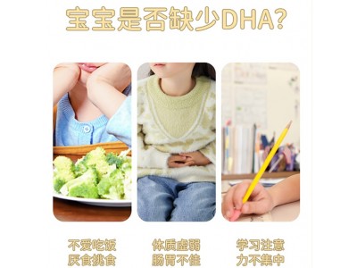 藻油DHA益生菌软糖定制 儿童凝胶糖果生产代加工图3
