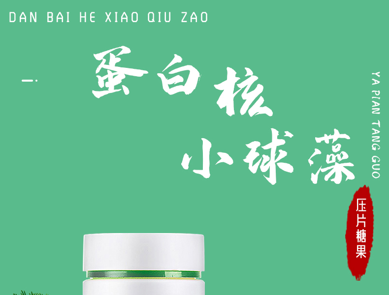 蛋白核小球藻详情_01