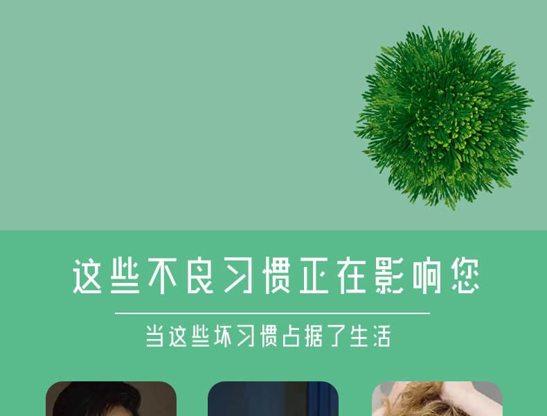 蛋白核小球藻详情_04