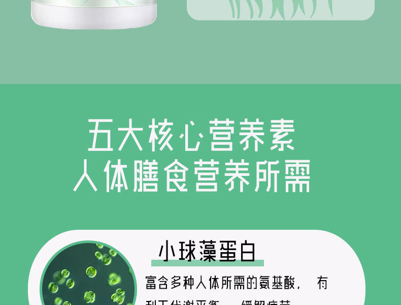 蛋白核小球藻详情_08