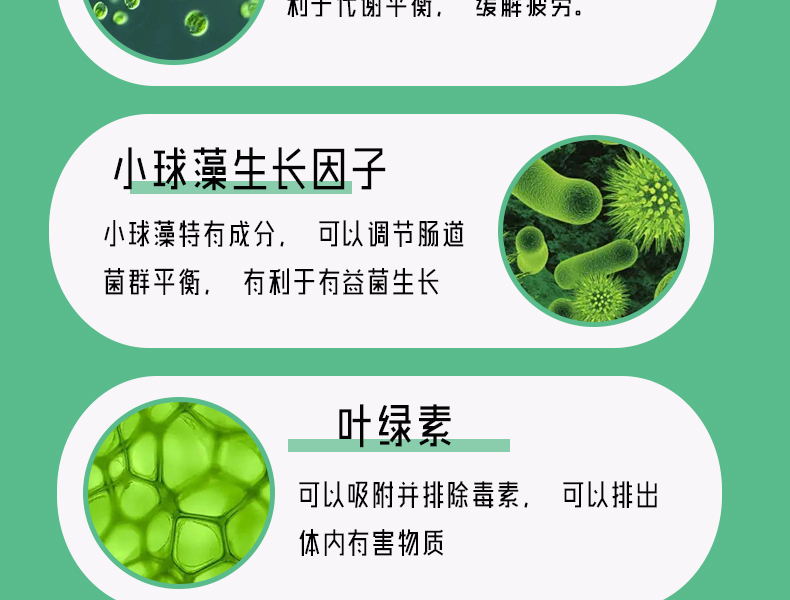 蛋白核小球藻详情_09