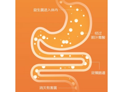 多元蛋白片定制 益生元咀嚼片OEM贴牌厂家图2