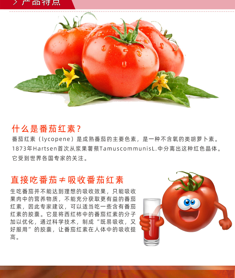 番茄红素_06