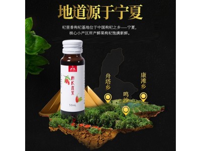 枸杞汁生产厂家 瓶装植物饮料OEM贴牌代加工图3
