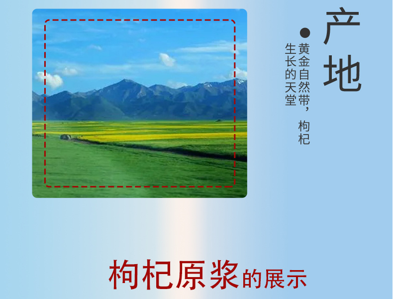 枸杞原浆详情_08