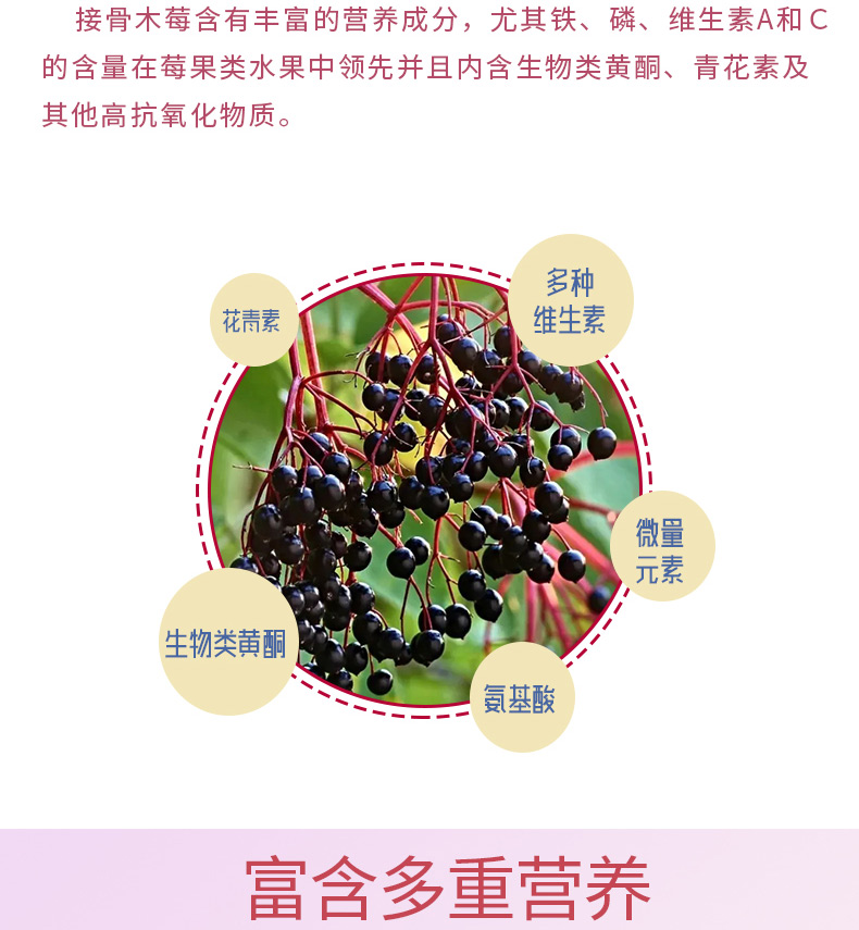 接骨木莓软糖详情_03