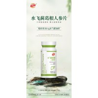 水飞蓟葛根人参片代加工oem水飞蓟葛根人参片加工，专业定制