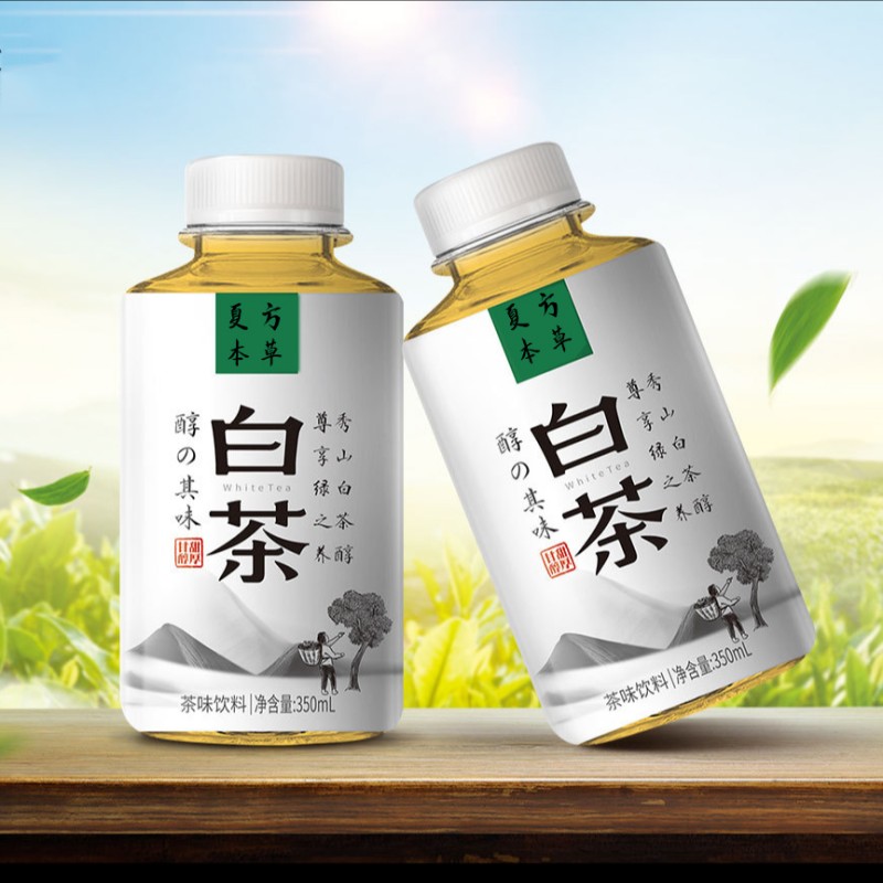 白茶+1