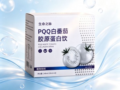PQQ 白番茄胶原蛋白饮 瓶装即饮植物饮料复合肽饮品源头工厂可贴牌图5
